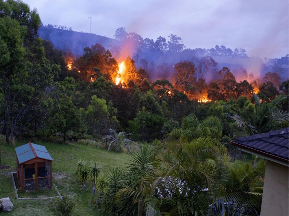 Take proactive steps to be prepared for the threat of bushfires all year round