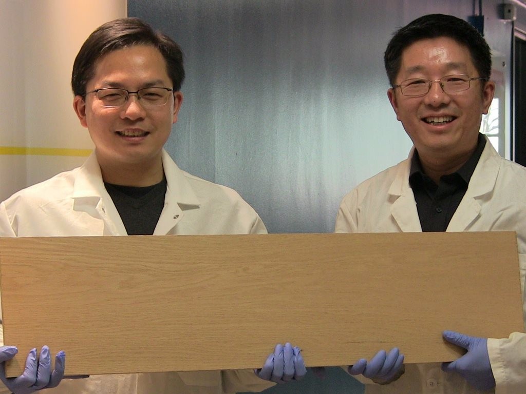 Liangbing Hu, left, and Teng Li, right, have found a new way to treat wood that makes it up to 12 times stronger than natural wood. Image: University of Maryland

