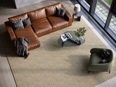 Gibbon Group SynSisal® Rugs Living Room