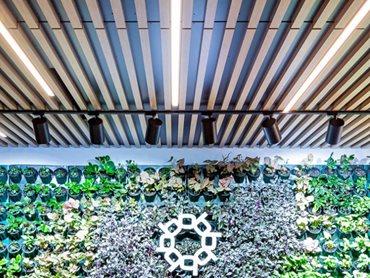 Biophilia can be achieved with minimal change to the floorplan by using the wall and ceiling spaces
