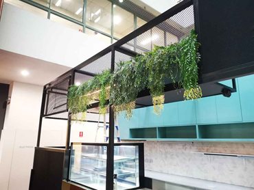 A selection of potted plants installed above the countertop
