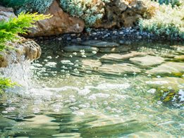 FiltoClear: Advanced filtration for crystal clear water features