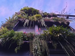 Vertical Gardens