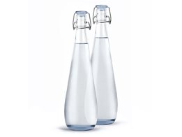 Bottles for water dispensers