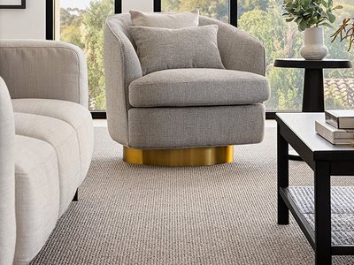 EC Carpets Andes Peak Solution Dyed Nylon 1