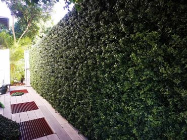 A total of 140 Premium Hedge panels were installed on all three sides of the walls
