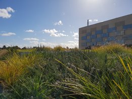 Roof Gardens