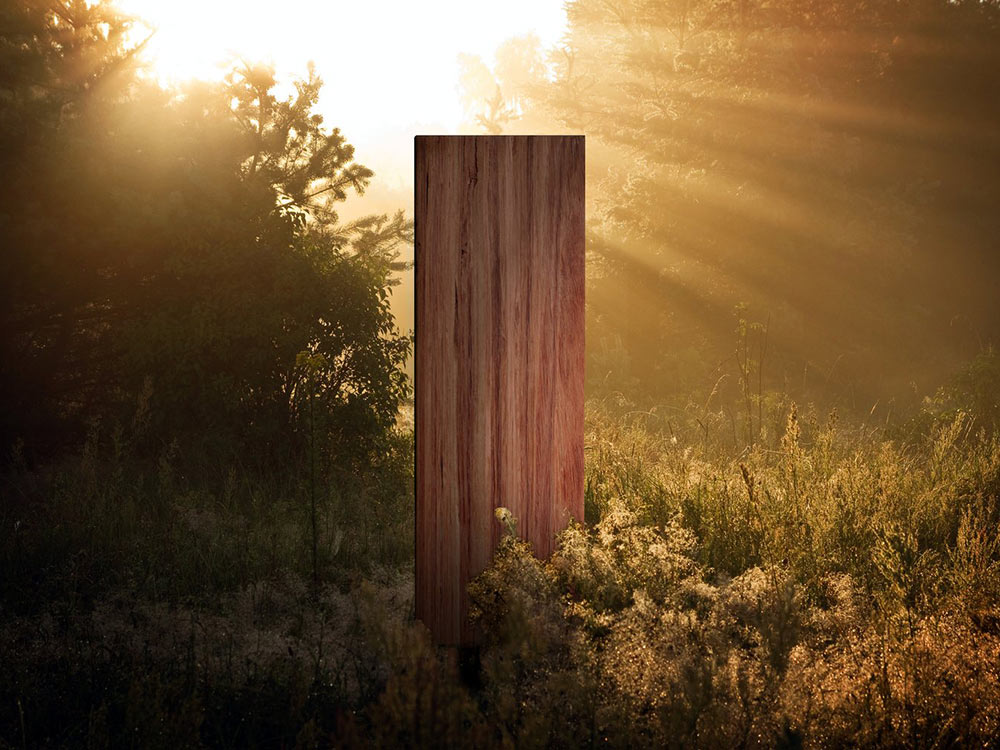 A timber designed for circular economy