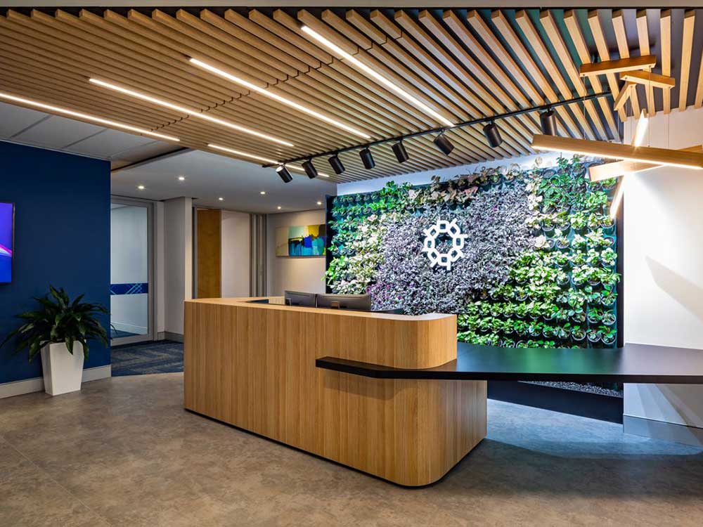 How can biophilic design impact an interior space? | Architecture & Design