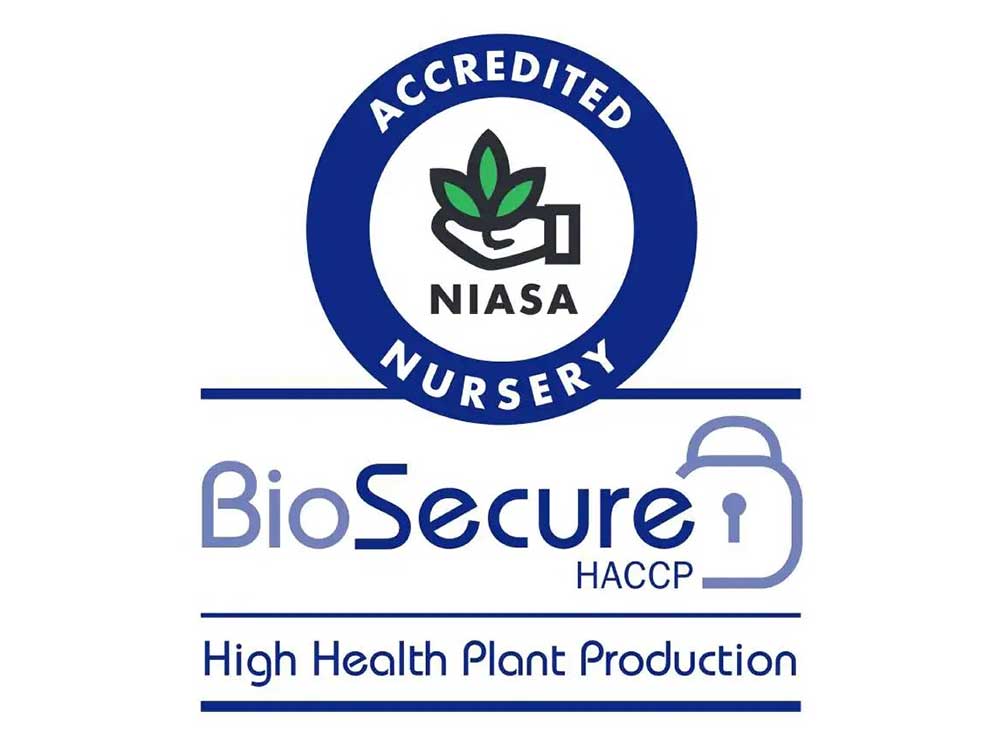 Plant Tiles Achieves BioSecure HACCP Certification | Architecture & Design