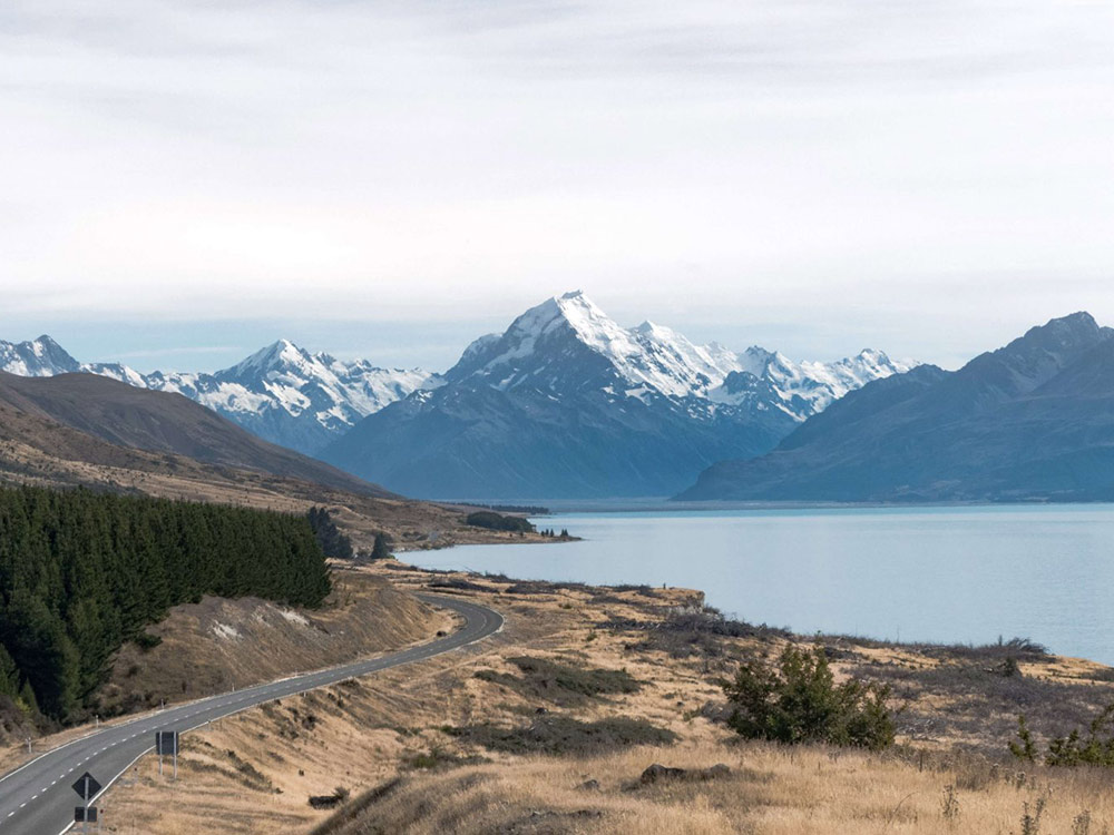 Sculptform in New Zealand