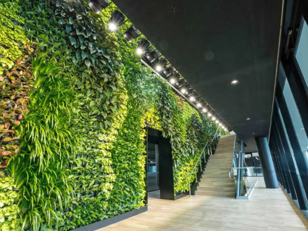 Biophilic design offers a transformative approach to healthcare architecture