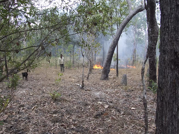 Bushfire rebuilding