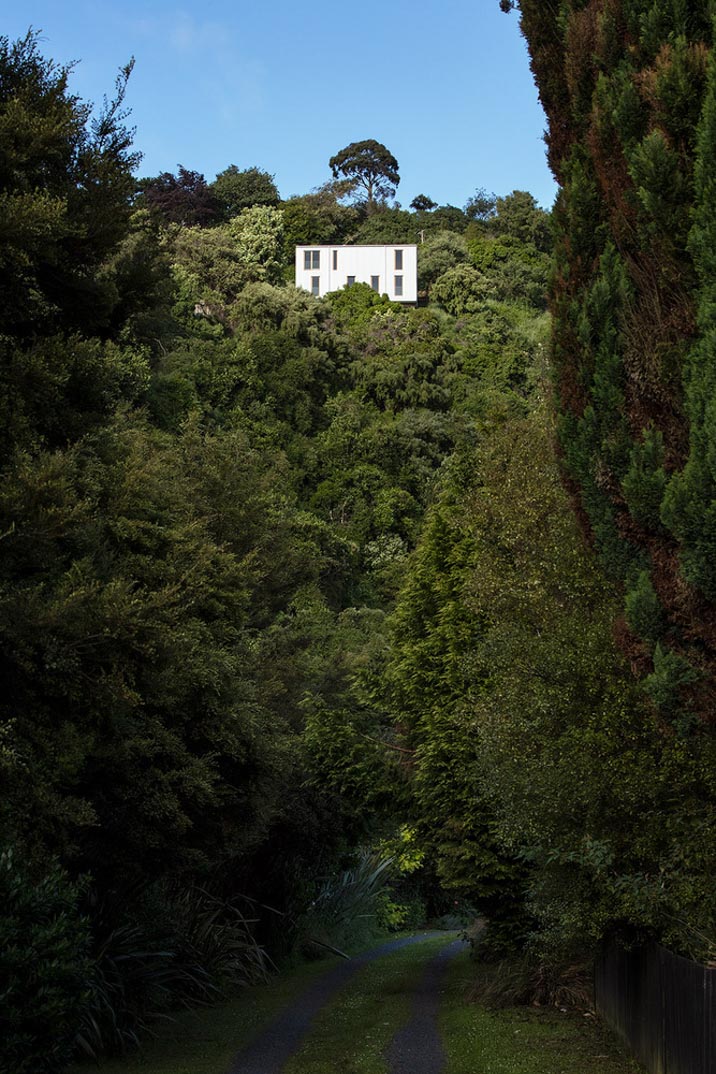 kowhai house rafe maclean architects