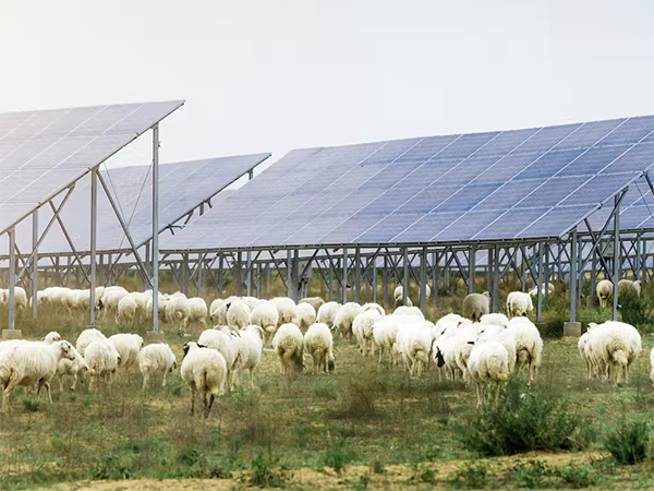 Solar panels 