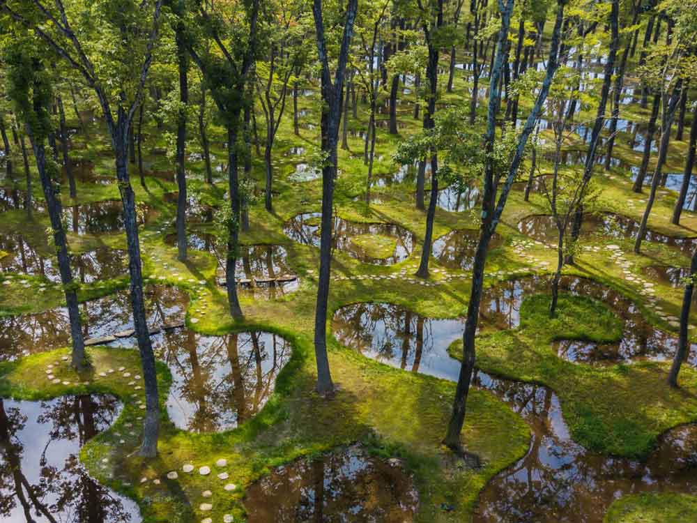 Art Biotop Water Garden