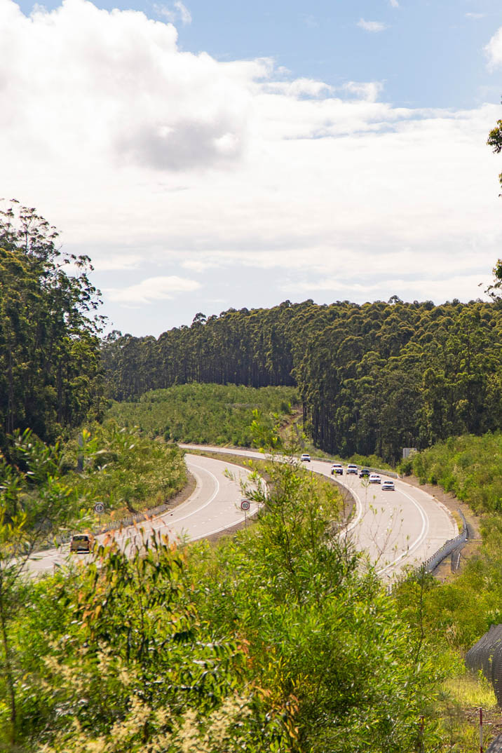 Pacific Highway Upgrade NSW Australia